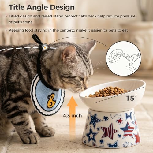 Ceramic Raised Cat Food Bowl, 15° Tilted Elevated Pet Bowl for Whisker & Neck Fatigue Relief, Dishwasher & Microwave Safe, Non-Slip Ergonomic Water Bowl for Cats & Dogs (White) - Image 2