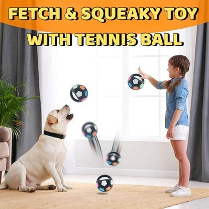 Tough Durable Ball Toy for Medium Large Dog - Image 4