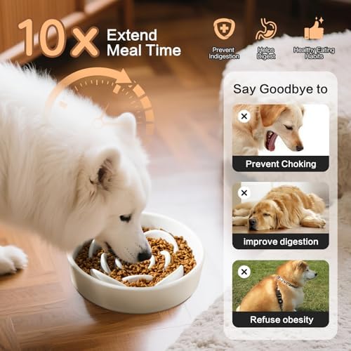 8.25'' Ceramic Slow Feeder Dog Bowls - Petal Shape Modern Dog Food Dish for Medium and Large Breeds, Puzzle Maze Bowl to Slow Down Eating, Anti-Gulping, Dishwasher & Microwave Safe, White - Image 4