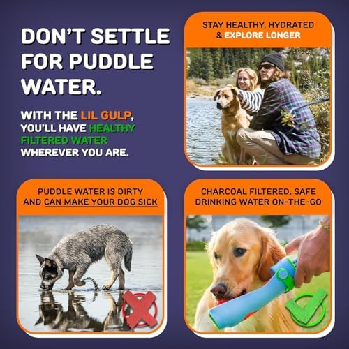 Lil Gulp Dog Water Bottle 15 Fl oz Filtered Portable Travel (Sherbet Soaker - Image 6