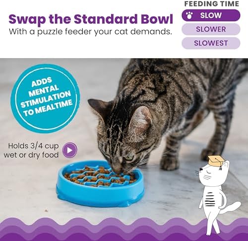 Catstages Kitty Slow Feeder Bowl for Cats & Kittens, 3/4 Cup, Blue, 5" - Image 2
