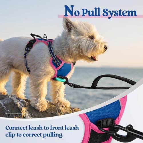 rabbitgoo Dog Harness, No Pull for Small Dogs with 2 Leash Clips, Pet Vest - Image 5