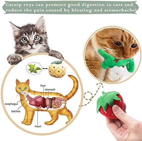 Mini Cat Catnip Toys for Indoor Cats 10 Pack - Image 6