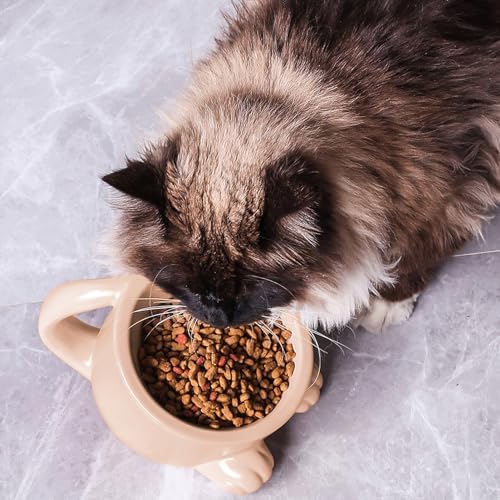 Raised Cat Bowls with Handle Tilted Cat Dish Ceramic Pet Food Water Bowl for Indoor Outdoor Kitten Small Dogs Puppy Pink - Image 5