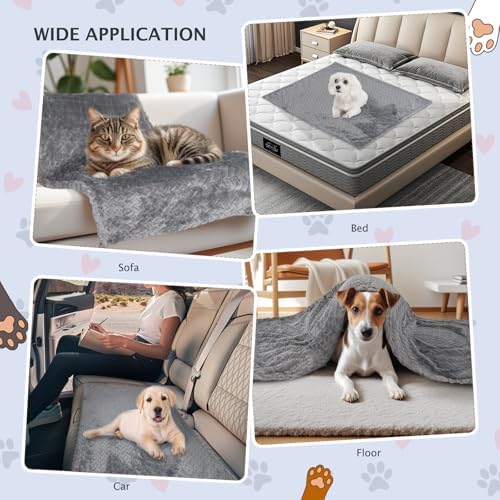 BVAGSS 6 Pack Small Dog Blanket, Super Soft Warm Pet Cover Blankets, Wheat Ears Print Puppy Fleece Flannel Blanket for Small Medium Dogs and Cats MW003 - Image 2