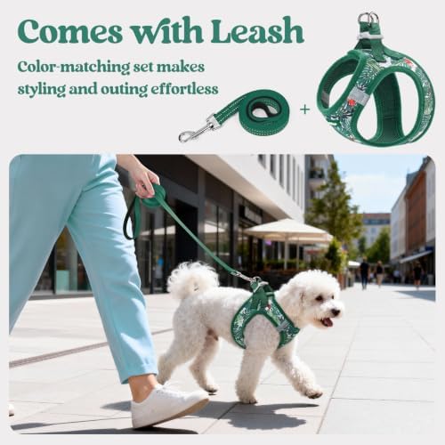 rabbitgoo Dog Harness Small Sized and Leash Set, Step-in Puppy Pet Vest - Image 6