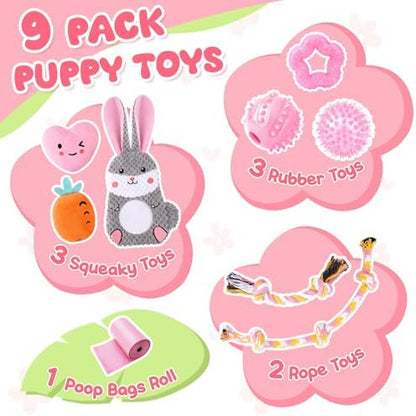 Zeaxuie Pink Puppy Toys for Teething - 9 Pack Small Dog Set With Chew, Squeaky Crinkle, Treat Ball and Interactive Rope for Puppies - Image 3