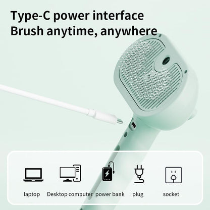 Pet Steam Brush for Dogs & Cats, 3-in-1 Mist Grooming Brush Shedding Hair Removal Comb, One-Click Self Cleaning Spray for Long Haired Pets, Comes with Empty Waterless Bottle for Shampoo, Green - Image 6