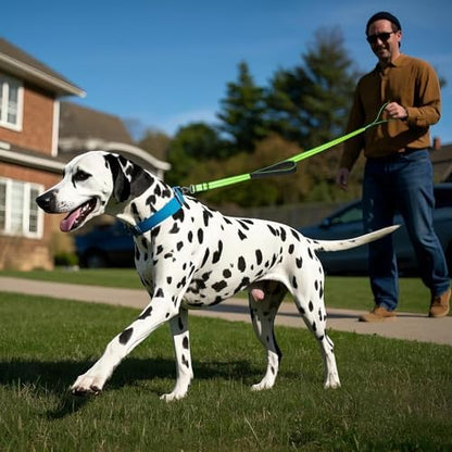 Reflective Double Handle Dog Leash for Large Medium Small Dogs (GY, S) - Image 7
