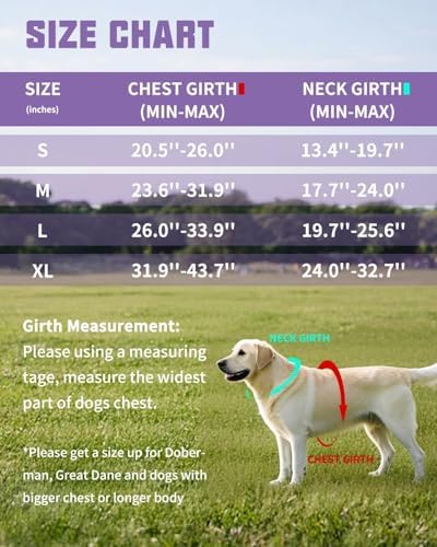 AUROTH Dog Harness and Leash Set Small Sized Dog, No Pull Escape Proof Vest - Image 6