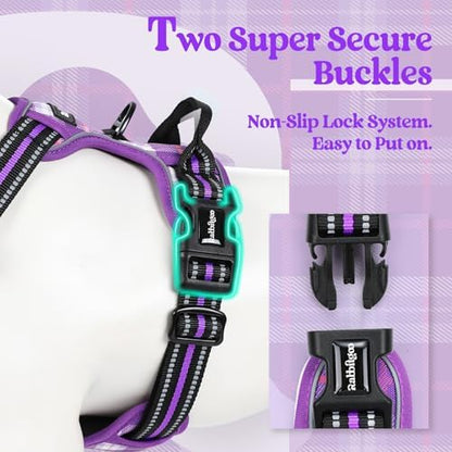 rabbitgoo Dog Harness, No Pull for Large Dogs with 2 Leash Clips, Pet Vest - Image 3