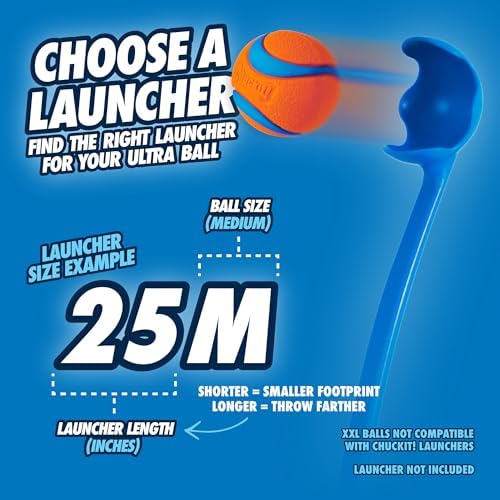 Chuckit! Ultra Ball Dog Toy - Medium Bouncy Fetch Balls for Dogs 20-60 lbs - Made from Durable Rubber - Floating Water Pet Toys - Size Medium - 2.5-inch Diameter - Pack of 6 - Image 5