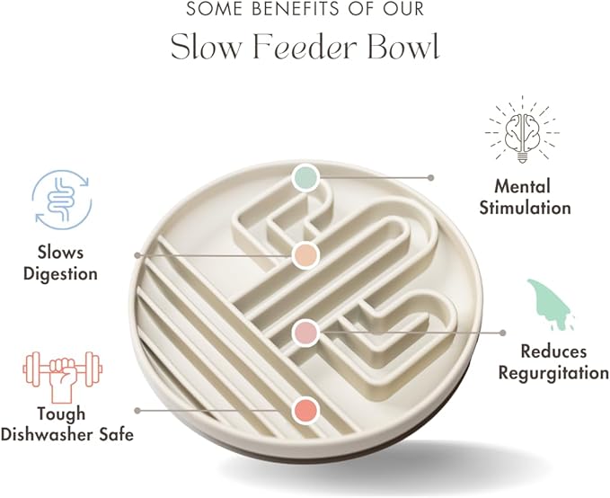 Cactus Slow Feeder Dog Bowls for Large Medium Small Breeds Silicone Non Slip Puzzle Bowl Puppy Essentials