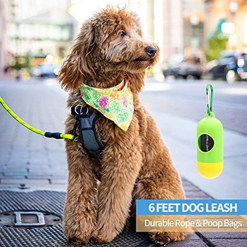 BAAPET 2/4/5/6 FT Dog Leash with Comfortable Padded Handle and Highly Reflective Threads for Small Medium and Large Dogs (6FT-1/2'', Green) - Image 5