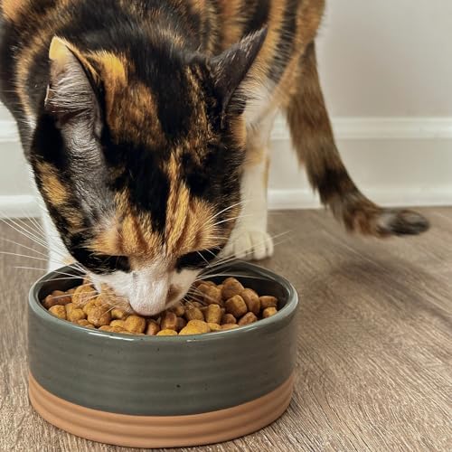 Mora Ceramic Pet Bowl Size Small - Food/Water Dish for Puppy Dogs, Cats, Guinea Pig, Rabbit, Hamster, Snake, ect. 11oz or 2 Cups - Basic Bowls for Your Dog or Cat, Mix and Match for a Set - Charcoal - Image 6