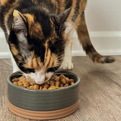 Mora Ceramic Pet Bowl Size Small - Food/Water Dish for Puppy Dogs, Cats, Guinea Pig, Rabbit, Hamster, Snake, ect. 11oz or 2 Cups - Basic Bowls for Your Dog or Cat, Mix and Match for a Set - Charcoal - Image 6