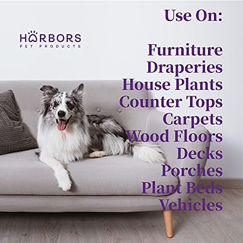 Harbor's Orange Deodorizer and Pet Stench Eliminator. Removes Dog & Cat Urine. Cleans Rugs, Furniture, and Mattresses with Pleasant Natural Aroma. Bottle of Concentrate Makes 1 Gal of Spray. - Image 3