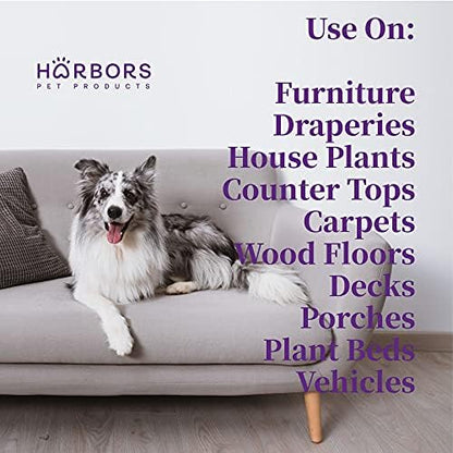 Harbor's Orange Deodorizer and Pet Stench Eliminator. Removes Dog & Cat Urine. Cleans Rugs, Furniture, and Mattresses with Pleasant Natural Aroma. Bottle of Concentrate Makes 1 Gal of Spray. - Image 3