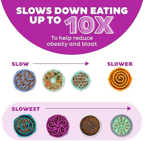 Outward Hound Fun Feeder Slo Bowl – Large 4‑Cup Capacity, Slow Feeding, Medium to Large Dogs, Non‑Slip, Purple, Flower Pattern - Image 4