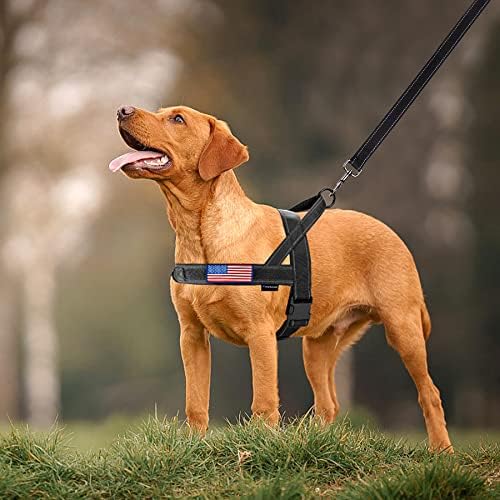 Annchwool No Pull Dog Harness with Soft Padded Handle-Reflective Strip Escape Proof and Quick Fit to Adjust Dog Harness-Easy for Training Walking for Small & Medium and Large Dogs(Black,XS,1 In Width) - Image 6