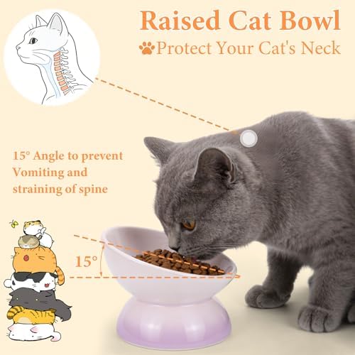Elevated Cat Food Bowl 4 Pack 5 Oz Ceramic Raised Tilted Water Dishes, 15° Tilt Anti Vomiting, Protect Pets' Spines Bowls for Small Dog, Fat Faced Cat, Kitten - Image 3