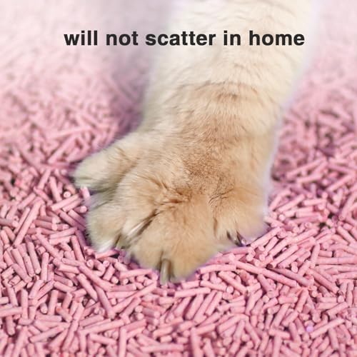 Dust-Free Quickly Absorb Odors Natural Tofu Cat Litter 12LB/Pe - Image 4