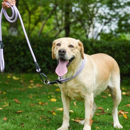 Rope Dog Leash, 6 Foot Heavy Duty Dog Leash with Aviation Aluminum Auto Locking Carabiner, Strong Nylon Pet Lead for Small, Medium, Large Dogs (Blue, 6FT) - Image 6