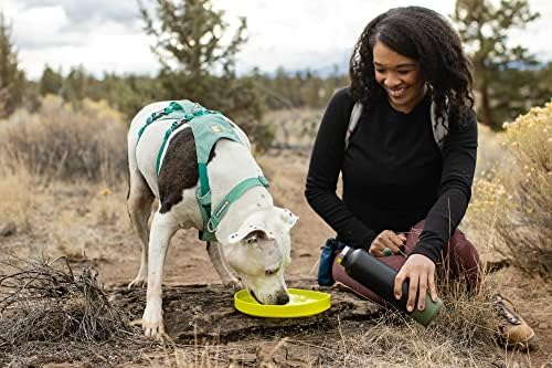 Ruffwear, Camp Flyer Dog Toy, Flying Disc, Polar Blue - Image 4