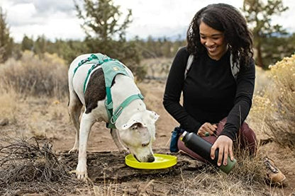 Ruffwear, Camp Flyer Dog Toy, Flying Disc, Polar Blue - Image 4
