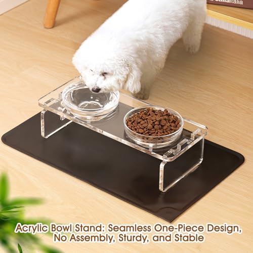 Elevated Dog & Cat Bowls – 3.75” Acrylic Raised Pet Feeder Stand with 2 Stainless Steel & 2 Glass Bowls – Food & Water Dish Set for Puppy/Small Dogs & Cats - Image 2