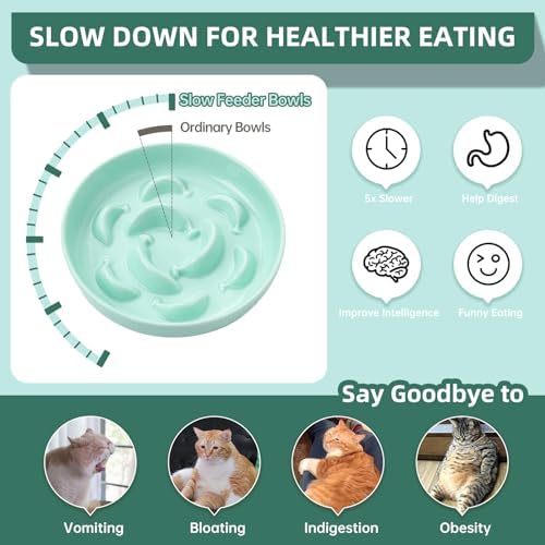 2 Pack Ceramic Cat Slow Feeder Bowl Set, 6.3" Wide, Slow Eating 5X - Image 3