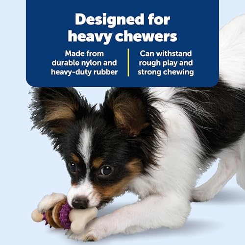 PetSafe Busy Buddy Bristle Bone Dog Treat Holding Chew Toy, Small - Image 4
