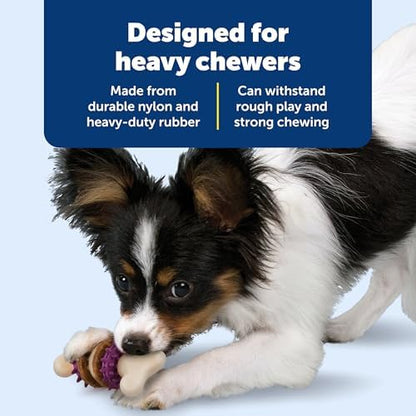 PetSafe Busy Buddy Bristle Bone Dog Treat Holding Chew Toy, Small - Image 4