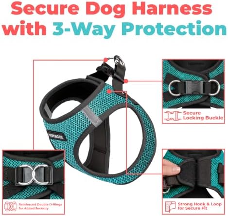 Voyager Step-in Air Dog Vest Harness - Turquoise 2-Tone, Small - Image 2