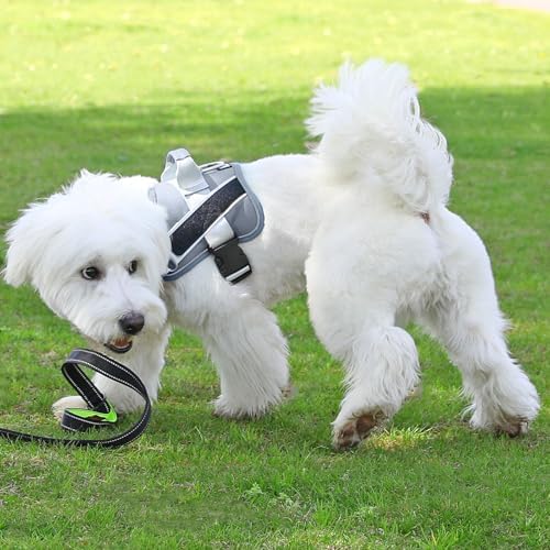 Dog Harness, No-Pull Reflective Dog Vest, Breathable Adjustable Pet Harness with Handle for Outdoor Walking - No More Pulling, Tugging or Choking - Image 6