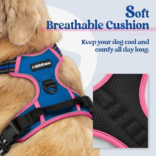 rabbitgoo Dog Harness, No Pull for Large Dogs with 2 Leash Clips, Pet Vest - Image 2
