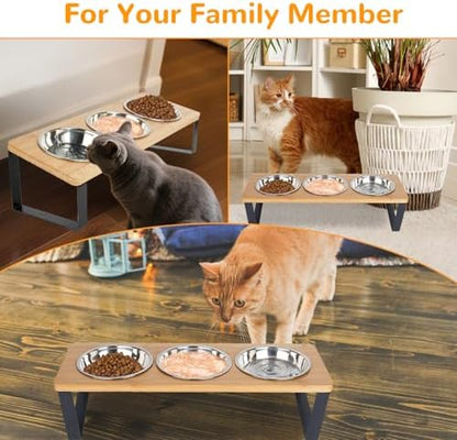 Elevated Cat Bowls with 3 Stainless Steel, 15° Tilted Raised Cat Bowl Set, for Indoor Cats for Small Cats and Puppies Pet Bowls with Stand - Image 6