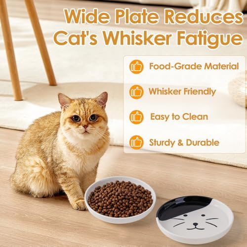 6PCS Ceramic Cat Dish, Shallow and Wide Plate Relief Whisker Fatigue, Dishes for Food and Water, Whisker-Friendly Design, 5.9W x 1.18D Inch, for Indoor Cats and Small Dogs, Multi Color - Image 3