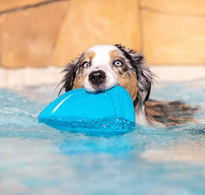 PROJECT HIVE ·PET COMPANY· Dog disc - Great for Fetch - Includes a Lick mat on Back - Floats in Water, Smooth Glide - Made in The USA (Soothing Vanilla) - Image 6