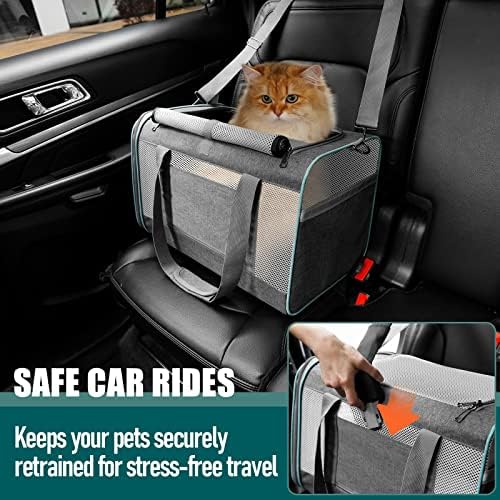 GAPZER Large Cat Carrier Soft, Collapsible Travel Pet Carry Bag, Small Dogs - Image 5