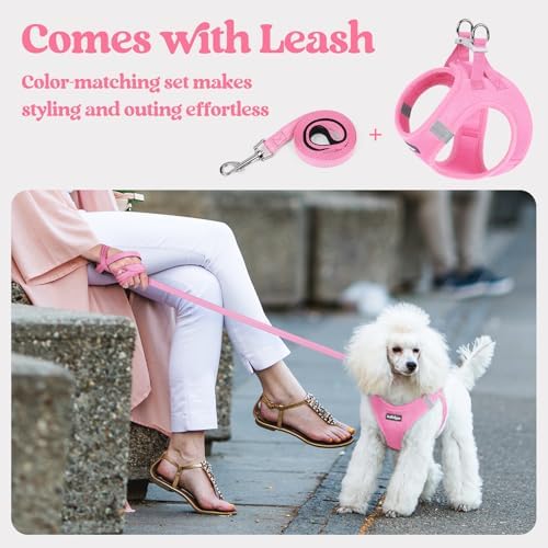 rabbitgoo Dog Harness Medium Sized and Leash Set, Step-in Puppy Pet Vest - Image 5
