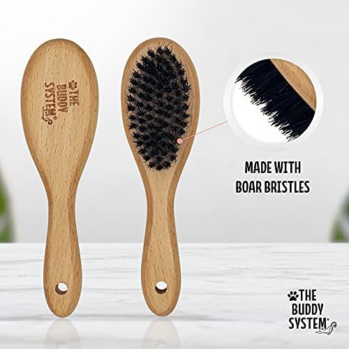 The Buddy System - Soft Cat Brush with Boar Bristles, 1 Pack - Image 2