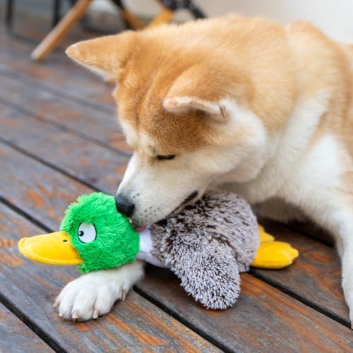 Best Pet Supplies Interactive Squeaky Dog Chew Toy, Ideal Dog Toys for Chewers, Small, Medium & Large Dogs, and Fetch Lovers - Mallard Duck (Gray), Large - Image 6