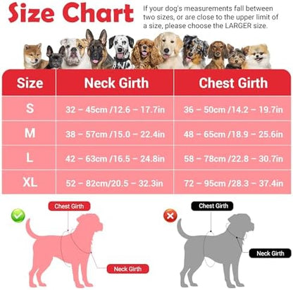 Funfox Dog Harness No Pull, Adjustable Pet Vest Harness, Super Soft Material with Vertical Handle Easy Control, Reflective Night Walking, 2 Leash Clips for Small Sized Dogs, Red, S - Image 2