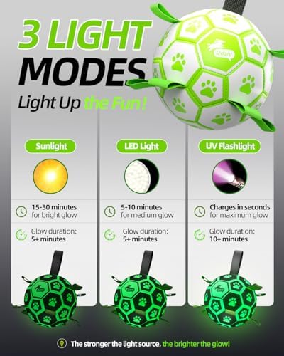 QDAN Premium Glow in The Dark Dog Toys, Dog Ball with Straps, Soccer Ball for Dogs, Outdoor Dog Toys, Pet Birthday Toys, Puppy Essentials for Medium to Large (8Inch) - Image 3