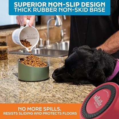 Master Pet Supply Stainless Steel Slanted Dog Cat Food Bowl 24 oz Crimson - Image 5