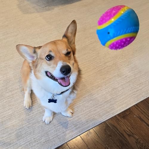 SPOT Sensory Ball Dog Toy for Soft Chewers – 3.25-Inch Durable TPR Rubber Ball with Squeaker and Bell, Textured for Gentle Chewing, High-Contrast Colors for Indoor & Outdoor Fetch Play - Image 6