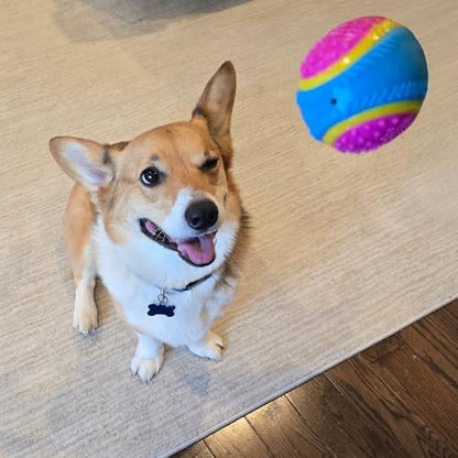 SPOT Sensory Ball Dog Toy for Soft Chewers – 3.25-Inch Durable TPR Rubber Ball with Squeaker and Bell, Textured for Gentle Chewing, High-Contrast Colors for Indoor & Outdoor Fetch Play - Image 6