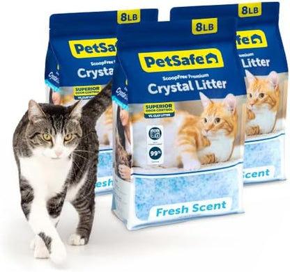 PetSafe ScoopFree Premium Crystal Litter, Fresh Scent, 8Lb Bag, 3 Pack by PetSafe