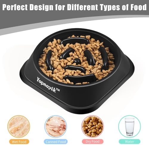 Slow Feeder Dog Bowls for Large Dogs - Image 4